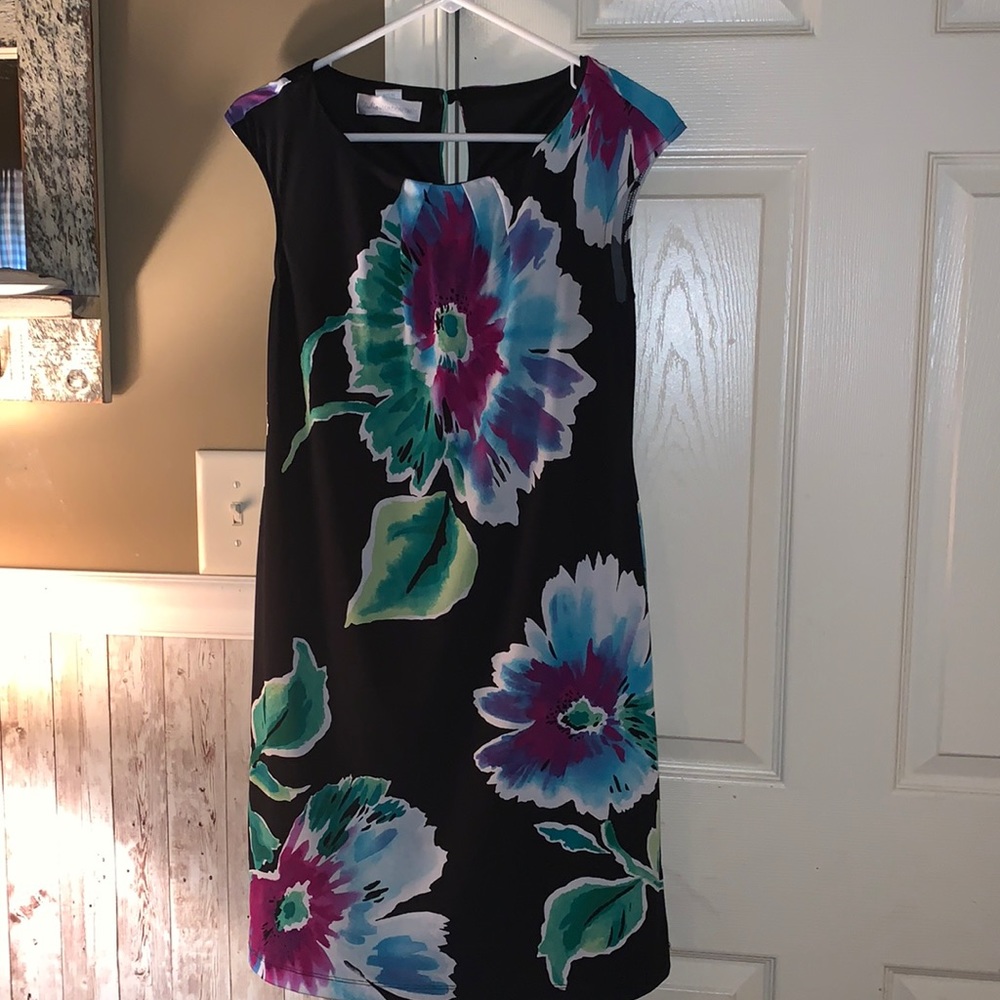 Sleeveless Floral Dress, Size 4